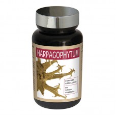 NUTRI EXPERT Гарпагофитум, капсулы №60 (HARPAGOPHYTUM)
